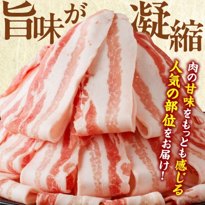 宮崎県産豚バラスライス計1.8kg 肉 豚 豚肉 おかず 国産_T009-0092