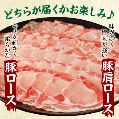 宮崎県産豚ローススライス《ロースor肩ロースをお届け》_T009-0103