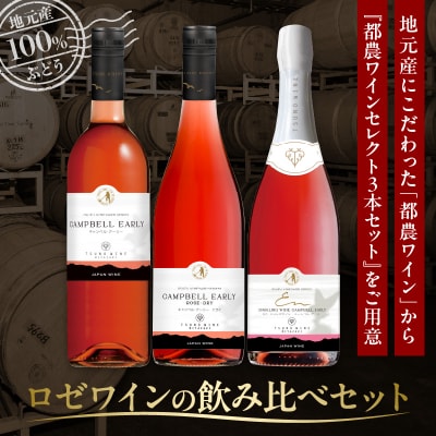 ＼年内発送!!/都農ワインセレクトセット(合計3本) 酒 飲料_T014-001-N