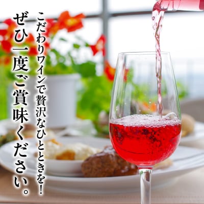 都農ワインセレクトセット(合計3本) 酒 飲料_T014-001