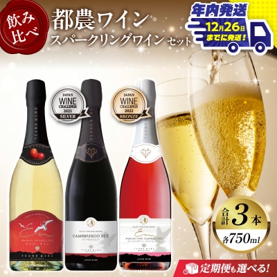 ＼年内発送!!/スパークリングワイン飲み比べ3本セット 酒 飲料_T014-003-N