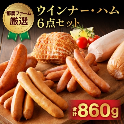 都農ファーム厳選「ウインナー・ハム6点セット」合計860g 肉 豚 豚肉 国産_T020-0011