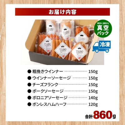 都農ファーム厳選「ウインナー・ハム6点セット」合計860g 肉 豚 豚肉 国産_T020-0011