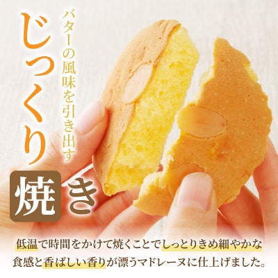 【2週間以内発送】老舗菓子舗のマドレーヌ計10個 焼き菓子 スイーツ 洋菓子_T035-0021