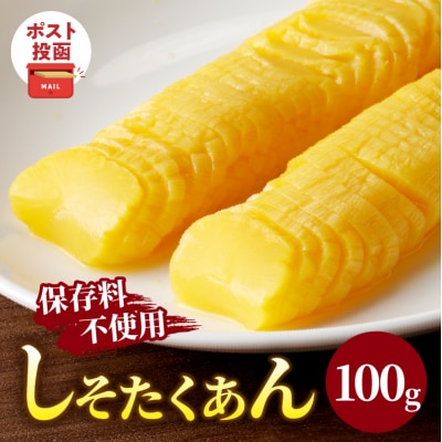 ＼ポスト投函/しそたくあん100g 漬物 おかず 野菜 加工品 国産_T037-0031
