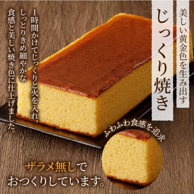 【2週間以内発送】老舗菓子舗のカステラ(大) お菓子 スイーツ 和菓子 本格 _T035-008