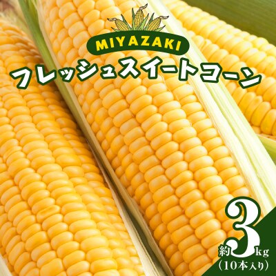 先行受付≪期間限定≫みやざきフレッシュスイートコーン(約3kg) 国産_T015-004 
