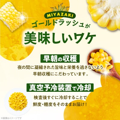 先行受付≪期間限定≫みやざきフレッシュスイートコーン(約3kg) 国産_T015-004 