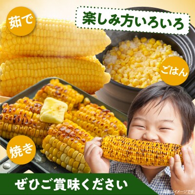 先行受付≪期間限定≫みやざきフレッシュスイートコーン(約3kg) 国産_T015-004 
