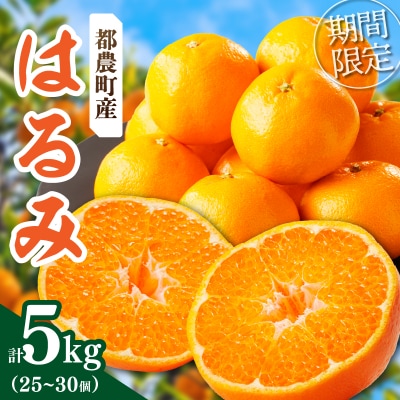 ≪数量限定≫希少な柑橘『はるみ』計5kg フルーツ 果物 柑橘 みかん_T008-001
