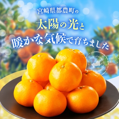 先行予約≪数量限定≫希少な柑橘『はるみ』計5kg フルーツ 果物 柑橘 みかん_T008-001