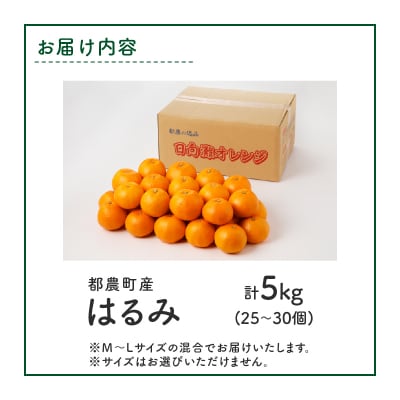 先行予約≪数量限定≫希少な柑橘『はるみ』計5kg フルーツ 果物 柑橘 みかん_T008-001