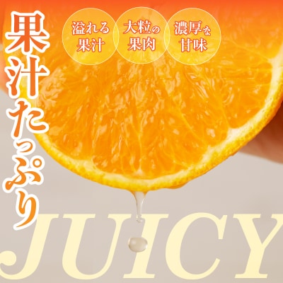 先行予約≪期間限定≫都農町産「不知火(しらぬい)計6kg」フルーツ 柑橘 みかん_T008-002