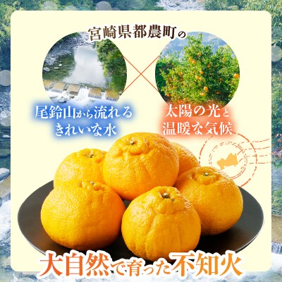 ≪期間限定≫都農町産「不知火(しらぬい)計6kg」フルーツ 柑橘 みかん_T008-002