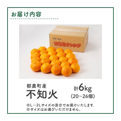 先行予約≪期間限定≫都農町産「不知火(しらぬい)計6kg」フルーツ 柑橘 みかん_T008-002