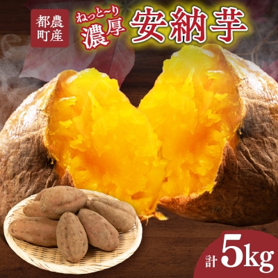 ≪期間限定≫都農町産安納芋(計5kg) 野菜 芋 イモ 国産_T016-0011