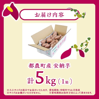 ≪期間限定≫都農町産安納芋(計5kg) 野菜 芋 イモ 国産_T016-0011