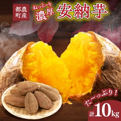 ≪期間限定≫都農町産安納芋(計10kg) 野菜 芋 イモ 国産_T016-0021