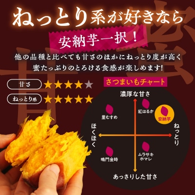 ≪期間限定≫都農町産安納芋(計10kg) 野菜 芋 イモ 国産_T016-0021