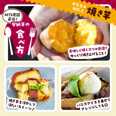 ≪期間限定≫都農町産安納芋(計10kg) 野菜 芋 イモ 国産_T016-0021