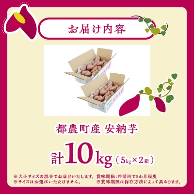 ≪期間限定≫都農町産安納芋(計10kg) 野菜 芋 イモ 国産_T016-0021