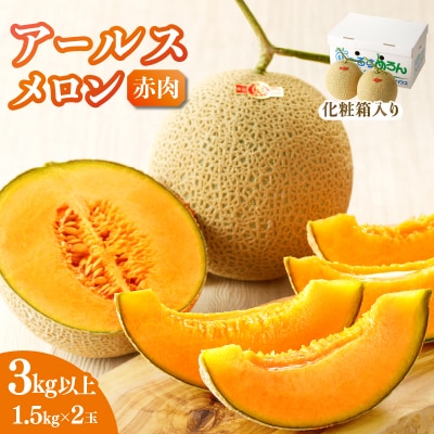 先行受付≪期間限定≫hiro君ハウスのアールスメロン赤肉計3kg(化粧箱入り)_T022-0011