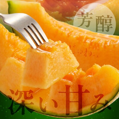 先行受付≪期間限定≫hiro君ハウスのアールスメロン赤肉計3kg(化粧箱入り)_T022-0011