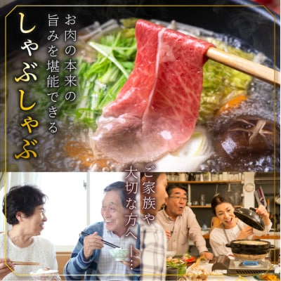 【10月1日より寄附額改定】宮崎牛4種スライスセット(合計1kg) _T030-084