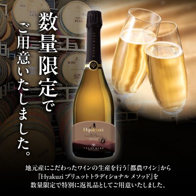 【数量限定】Hyakuzi ブリュット トラディショナル メソッド(計1本) 国産_T014-008
