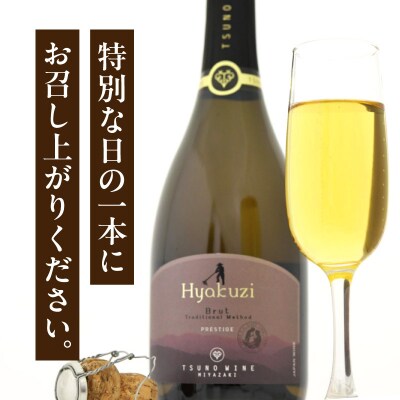 【数量限定】Hyakuzi ブリュット トラディショナル メソッド(計1本) 国産_T014-008