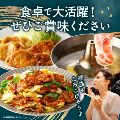 【10月1日より寄附額改定】宮崎県産豚スライスバラエティセット(合計3kg)_T030-087