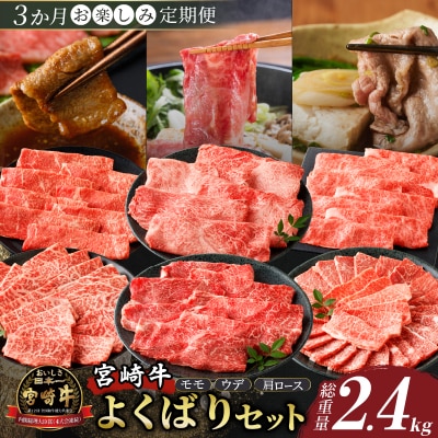 3か月定期便『宮崎牛よくばりセット』総重量2.4kg_T030-136