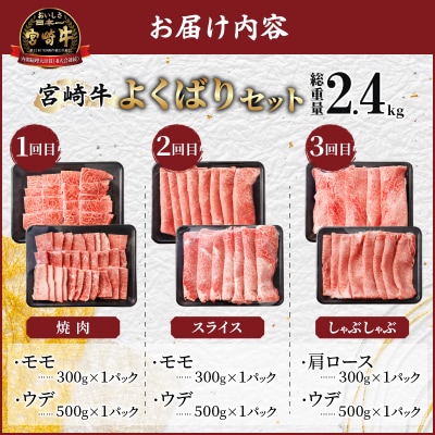 3か月定期便『宮崎牛よくばりセット』総重量2.4kg_T030-1363