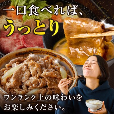 生産者応援≪4等級以上≫宮崎県産黒毛和牛霜降り肩ローススライス(計600g) 肉_T030-1903