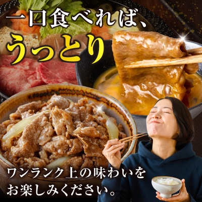 生産者応援≪4等級以上≫宮崎県産黒毛和牛霜降り肩ローススライス(計600g) 肉_T030-1903