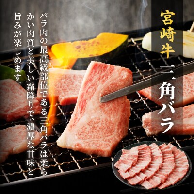 ≪数量限定≫宮崎牛三角バラ(焼肉用)計1kg 肉 牛 牛肉 おかず 国産_T030-1061 