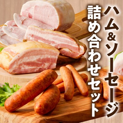 ミヤチク「ハム・ソーセージ」5種(合計1.3kg)_T030-128