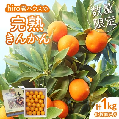 ≪数量限定≫hiro君ハウスの『完熟きんかん(計1kg)』化粧箱入り_T022-002