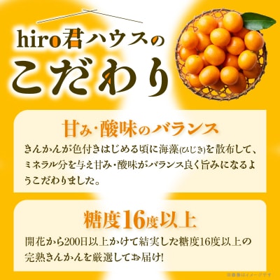 先行受付≪数量限定≫hiro君ハウスの『完熟きんかん(計1kg)』化粧箱入り_T022-002