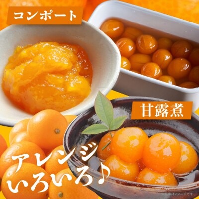 ≪数量限定≫hiro君ハウスの『完熟きんかん(計1kg)』化粧箱入り_T022-002