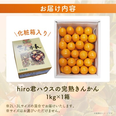 先行受付≪数量限定≫hiro君ハウスの『完熟きんかん(計1kg)』化粧箱入り_T022-002