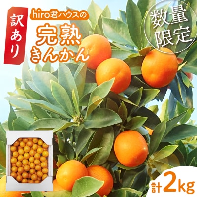 stᐔʌ󂠂hiroNnEX́wn񂩂(v2kg)x_T022-003