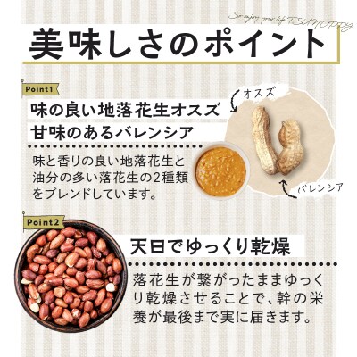 【2週間以内発送】＼ポスト投函/「ピーナッツドレッシング3種」_T024-005