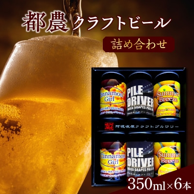 【2週間以内発送】都農クラフトビール詰め合わせ6本セット 国産_T016-0031