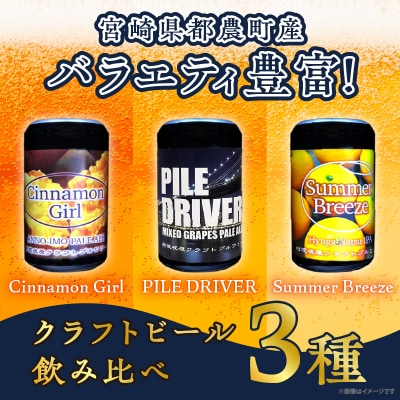 【2週間以内発送】都農クラフトビール詰め合わせ6本セット 国産_T016-0031