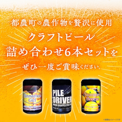 【2週間以内発送】都農クラフトビール詰め合わせ6本セット 国産_T016-0031