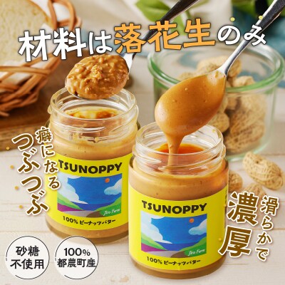 ピーナッツバターセット(スムース&チャンク)合計2個_T024-0101