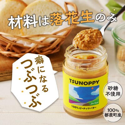 【2週間以内発送】≪お試し≫都農町産クラフトピーナッツバター(チャンク)計1個_T024-0091