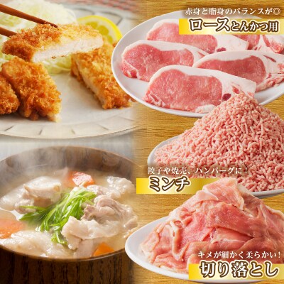 ≪宮崎県産≫豚肉6種＼てげスゲーセット/合計4.2kg 肉 豚 豚肉 おかず_T009-0121