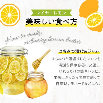 先行受付≪期間限定≫都農町産さくらレモン(マイヤーレモン)計2kg フルーツ 果物_T002-003